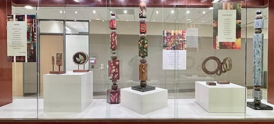 Display at Mayo Clinic