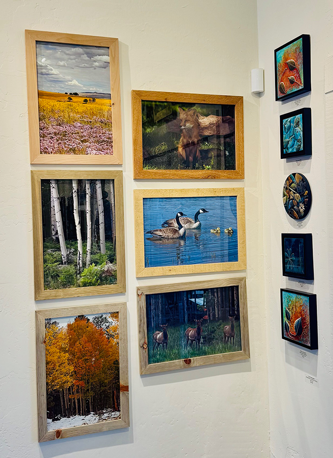 Pinetop Gallery 8 Pinetop Gallery 8