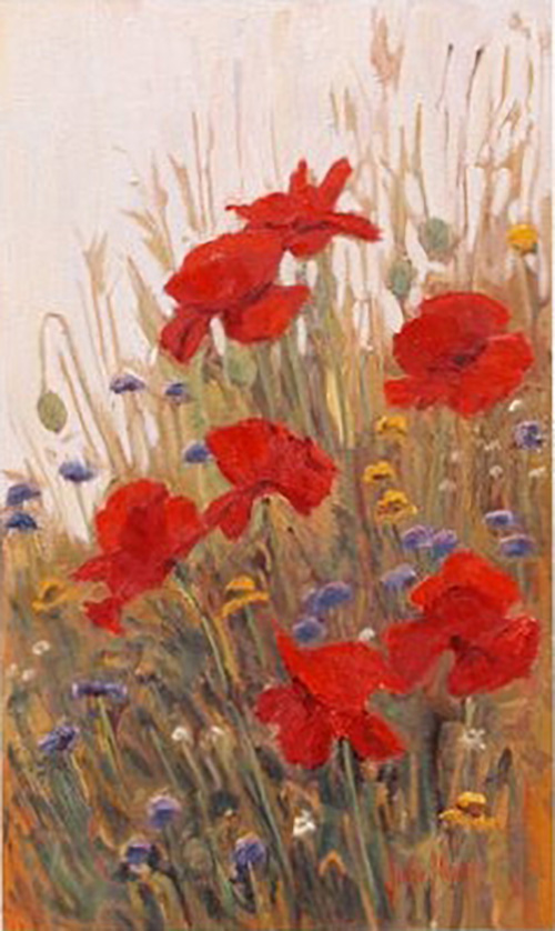 poppies i OAMM 2