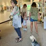 Events-FTGallery 2