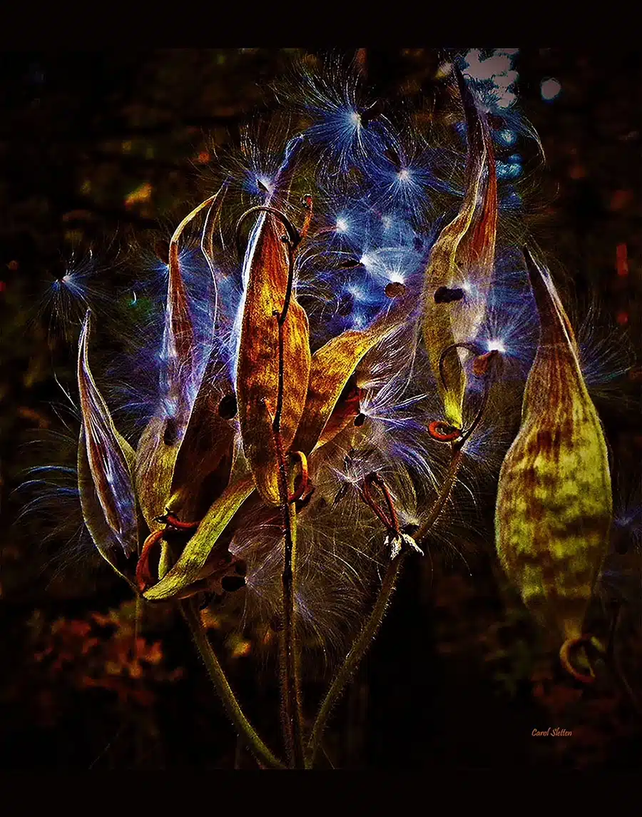 Photography Books 2.10.26-5