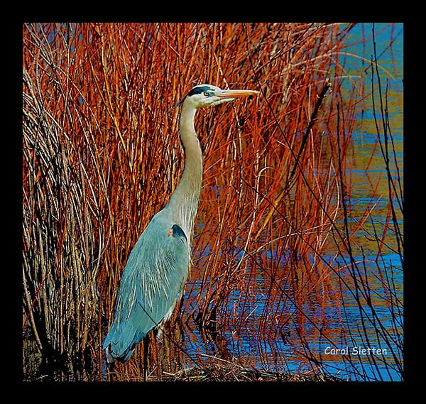 Photography Books 2.10.26-6