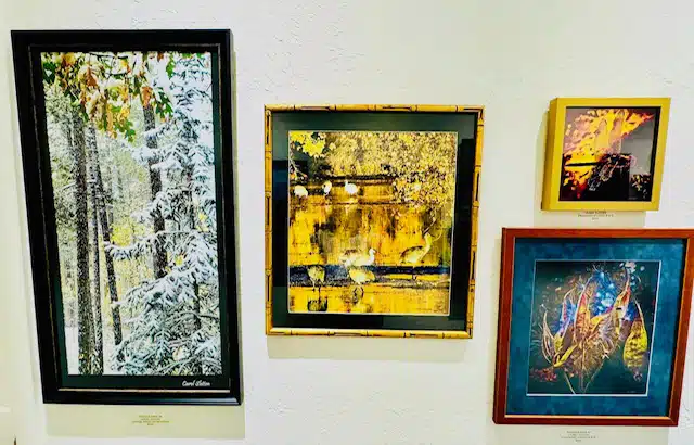 Pinetop Gallery 3.2.26-1