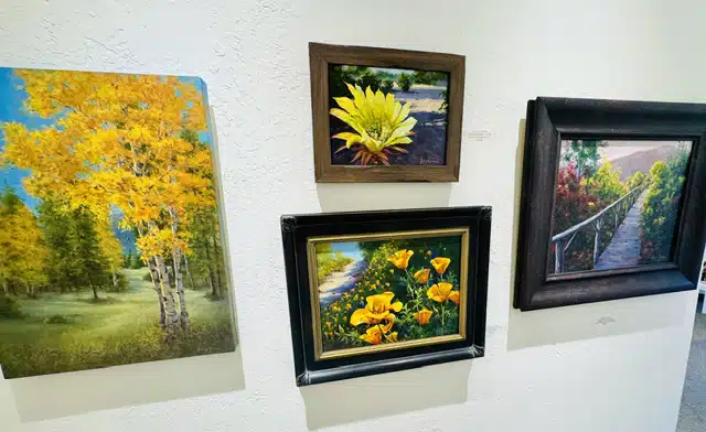 Pinetop Gallery 6.29.26-6